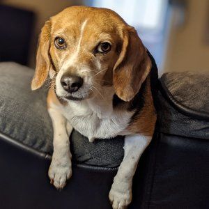 Meet your Posher, Hagan!